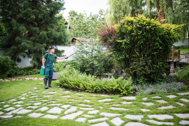 Trusted Bondurant, IA Pest Control Experts